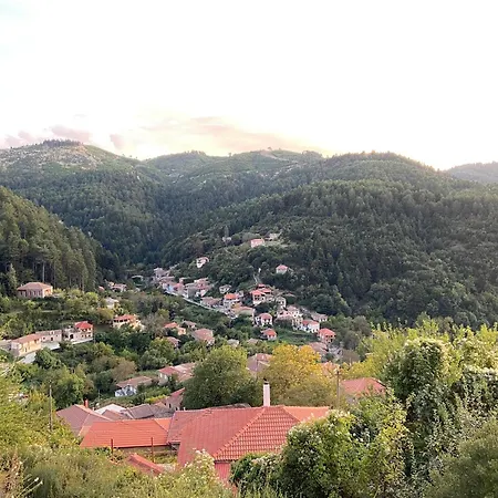 το Aρχοντικό των τσιντζίνων * Polídhroson