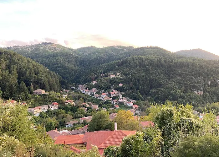 το Aρχοντικό των τσιντζίνων * Polídhroson